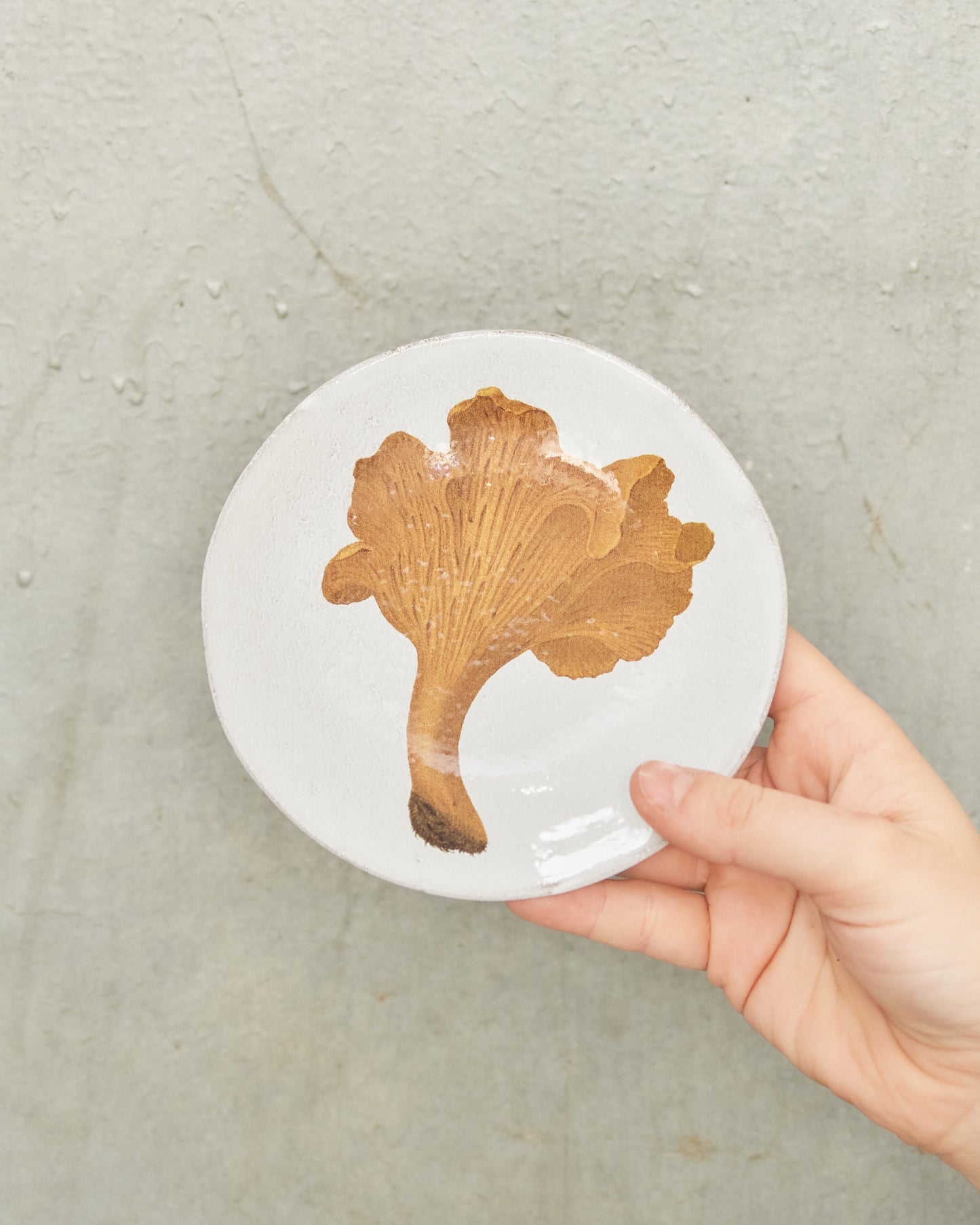 Chanterelle Comestible Small Plate