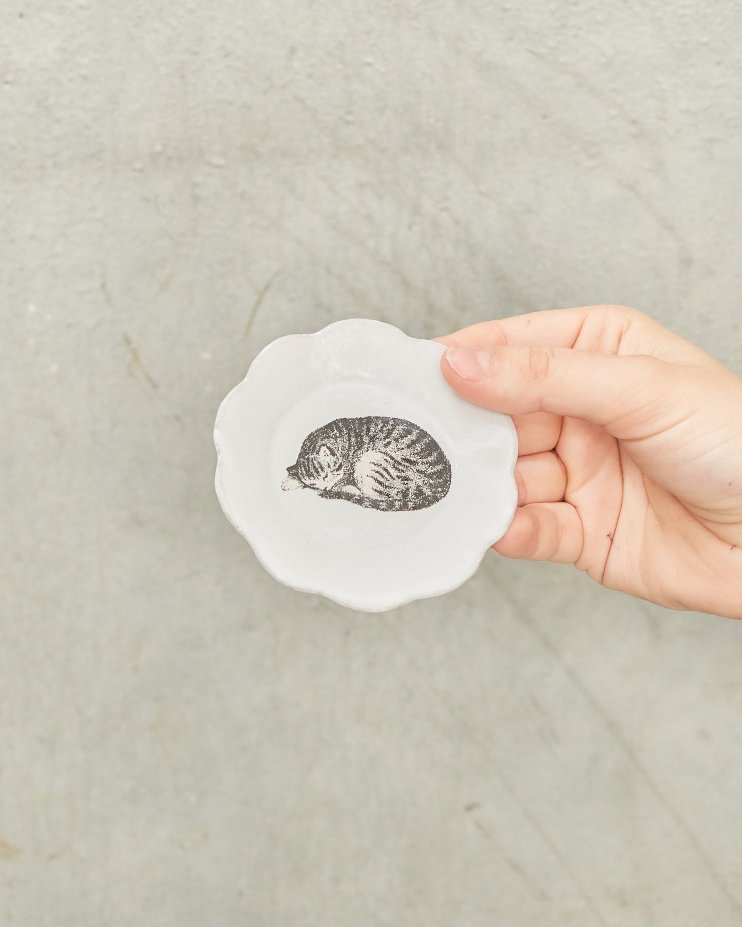 Sleeping Small Cat Dish