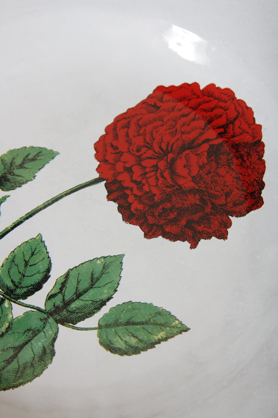 Dutch Hundred Rose Plate