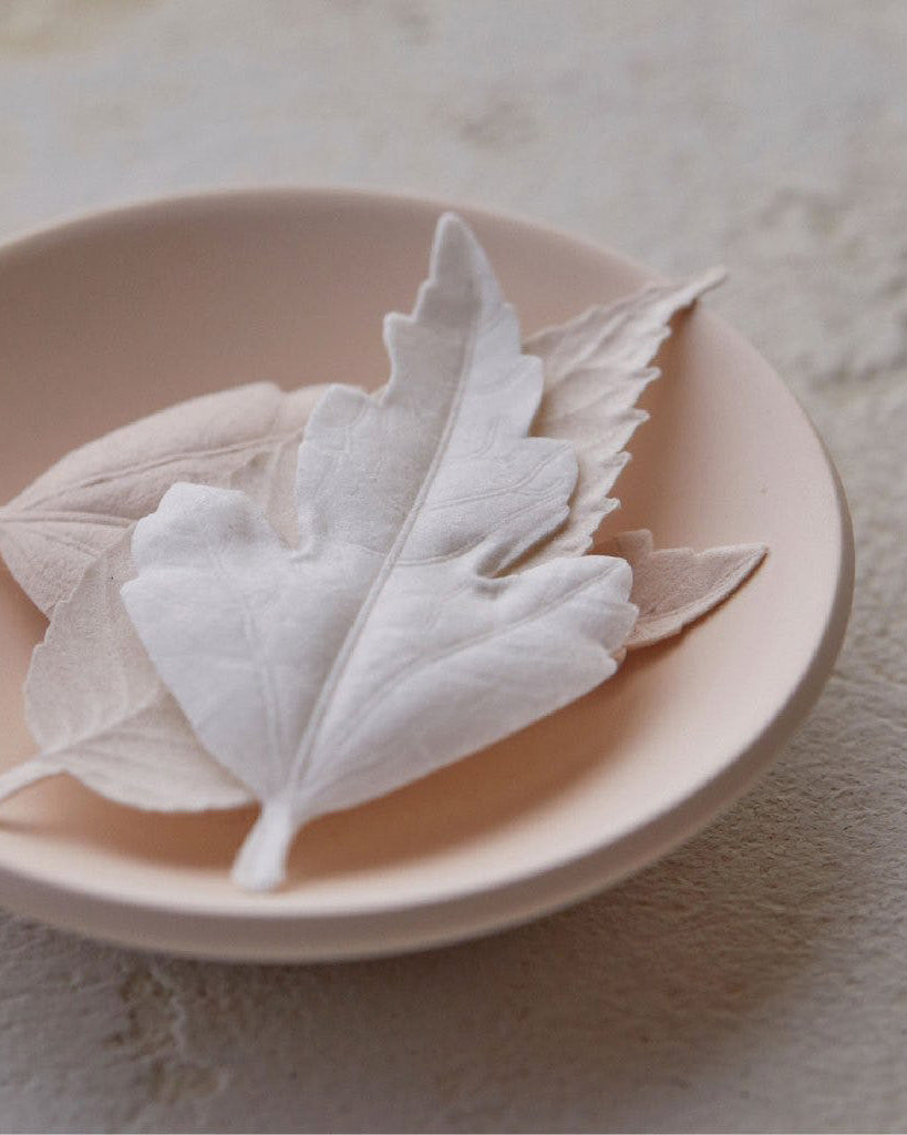 Hako Incense White Set