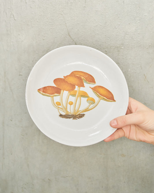 Agaric Amer Soup Plate