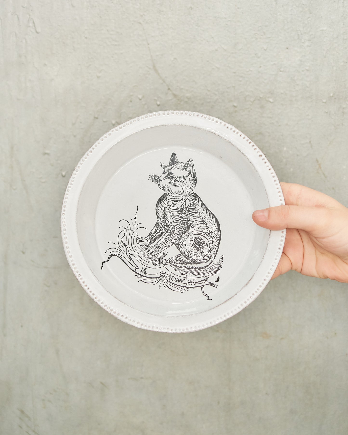 Scenario Cat Soup Plate
