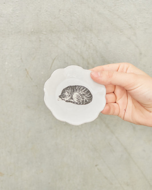 Sleeping Small Cat Dish