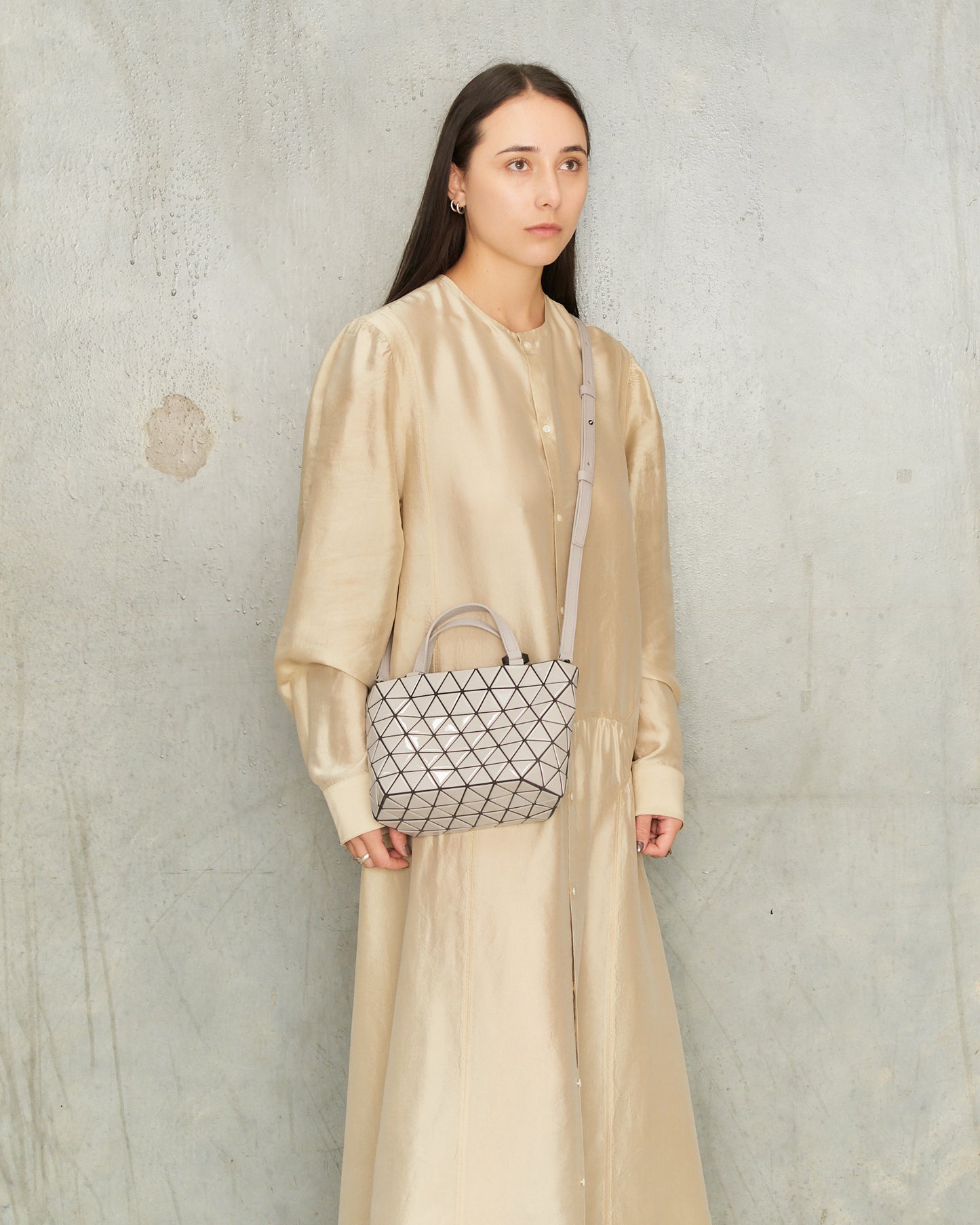 Greige Crystal Gloss Handbag