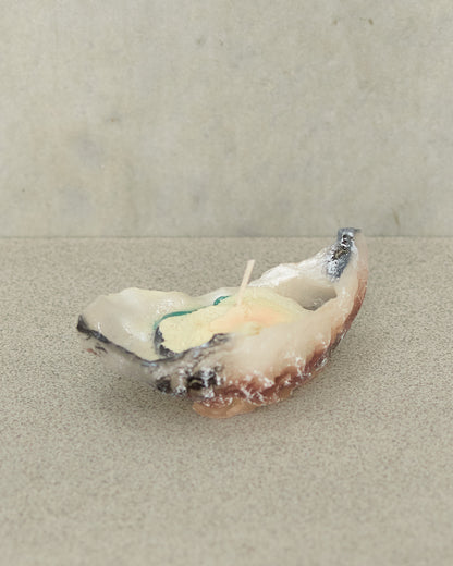 Ostrica Oyster Candle