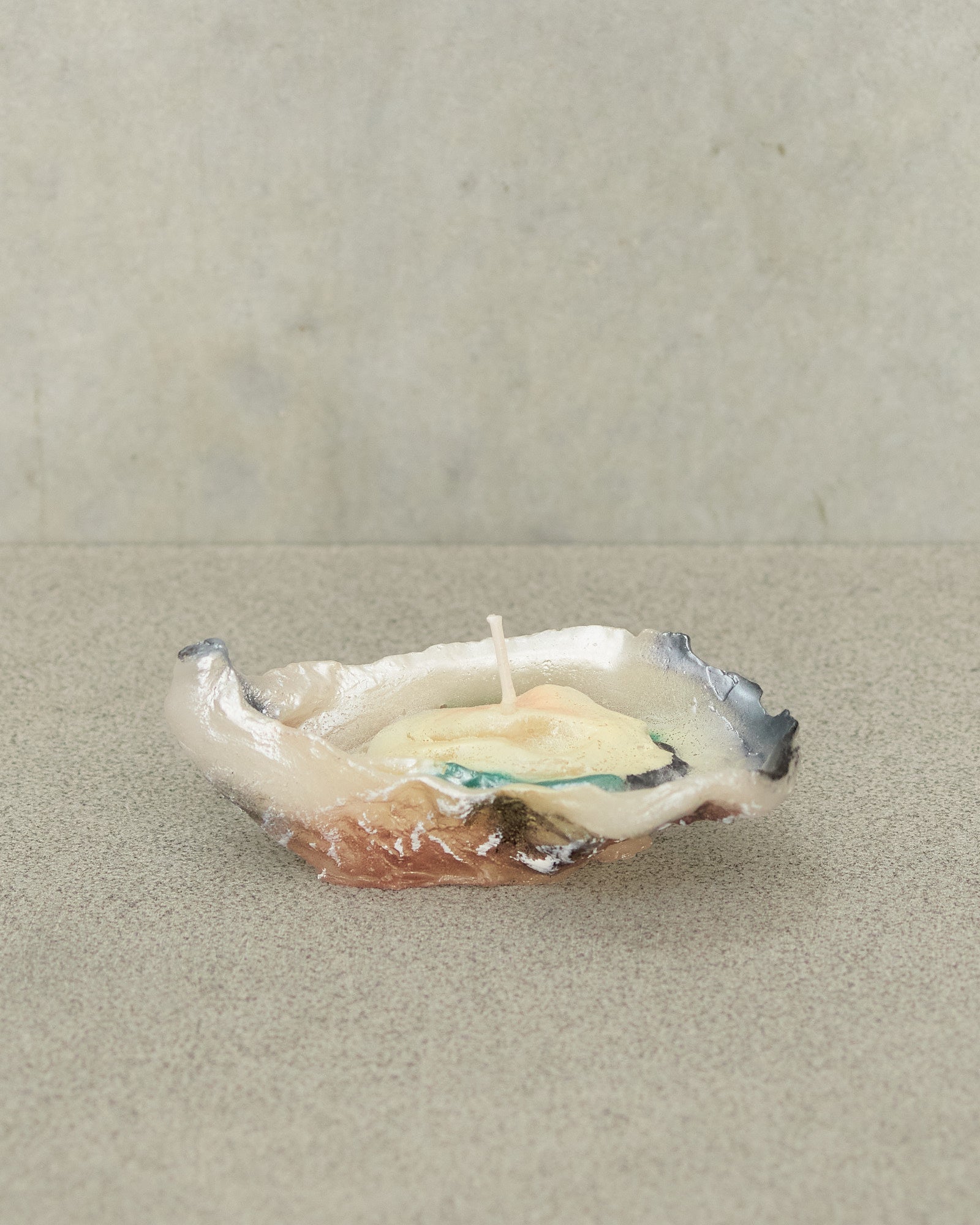 Cereria Introna Ostrica Oyster Candle Grey CI2389 - DILETTANTE – Dilettante