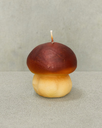 Porcino Candle