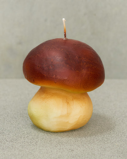 Porcino Candle