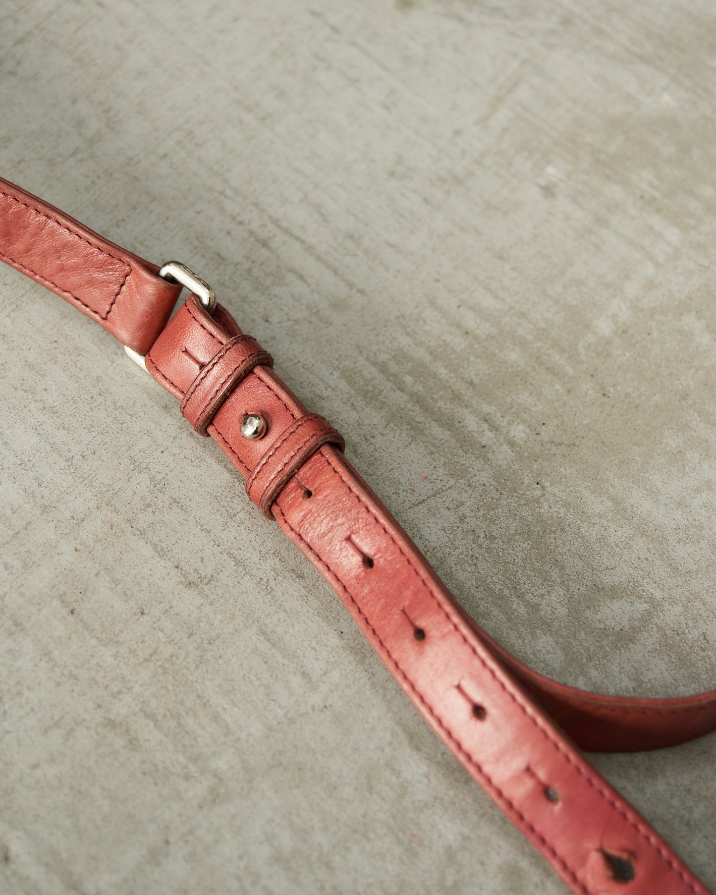 Cornelian Taurus Red Leather Bag