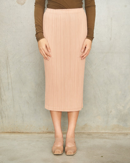 Beige Classic Skirt
