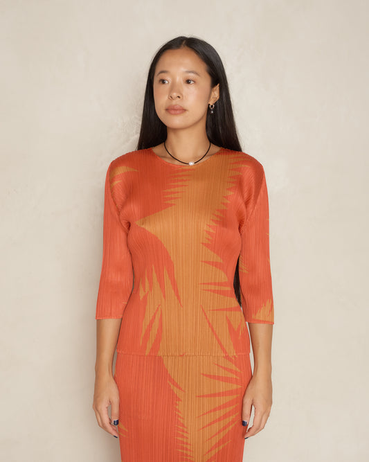 Brown Chili Piquant Top