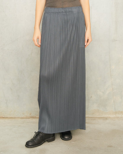 Steel Long Pleats Skirt