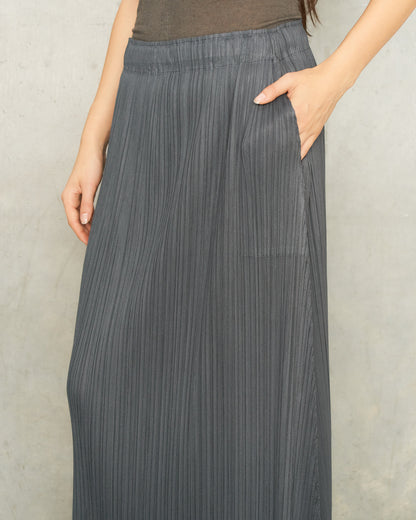 Steel Long Pleats Skirt