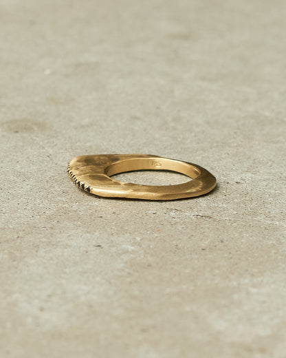 Milo Copper Black Diamond Band