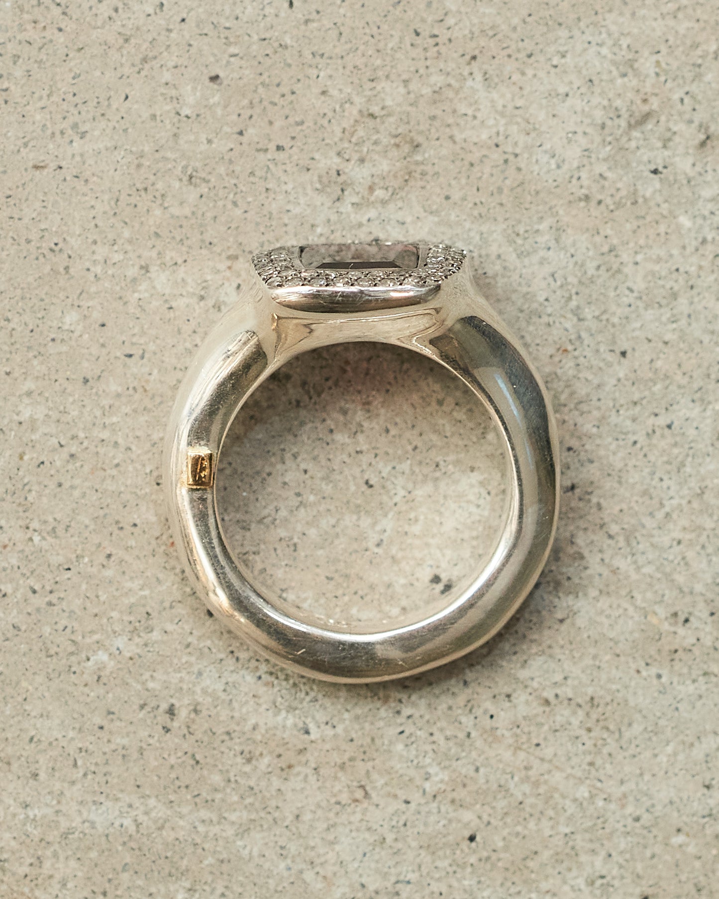 Romy Garnet Icy Diamond Ring