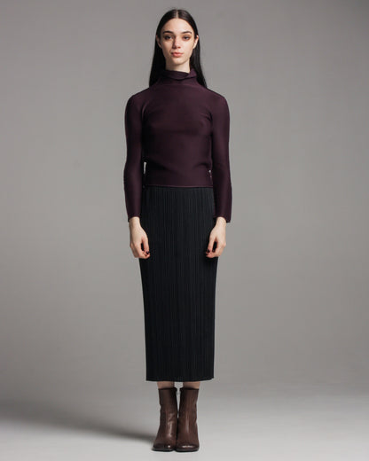 Black Basic Pleated Skirt