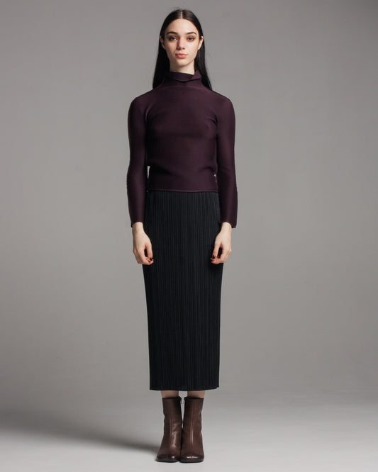 Black Basic Pleated Skirt