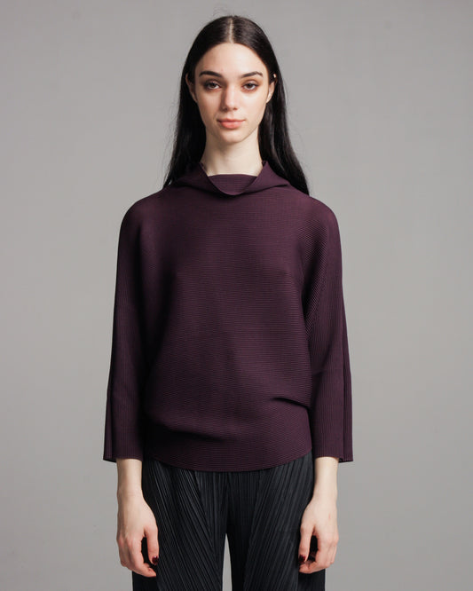 Raisin Dolman Stretch Top