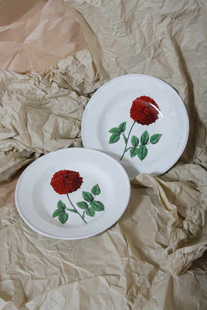 Dutch Hundred Rose Plate