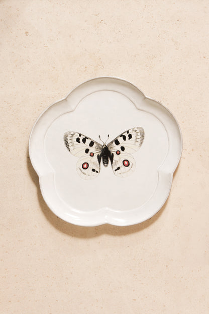 John Apollo Butterfly Plate