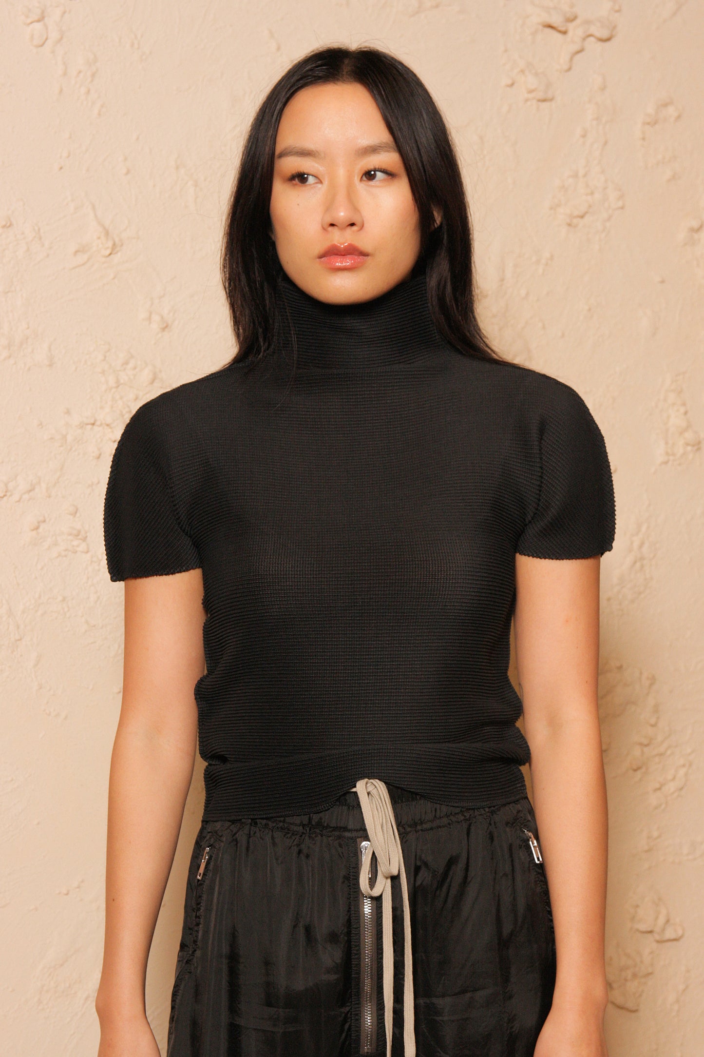 Micropleated High Neck Short Sleeve Top