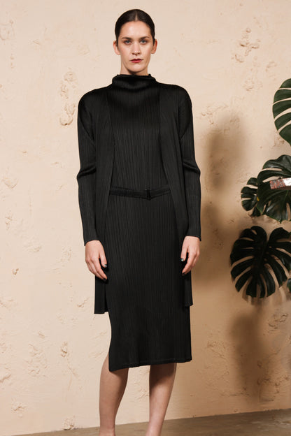 Pleated Belt