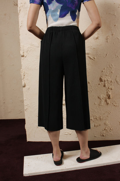 Pleated Culottes