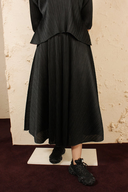 Black Full Circle Skirt