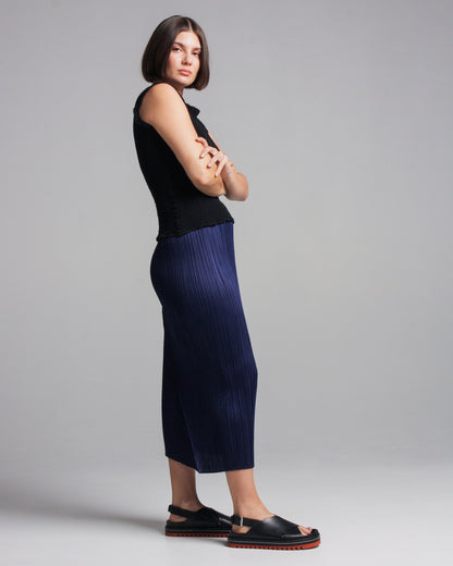 Navy Pleated Skirt