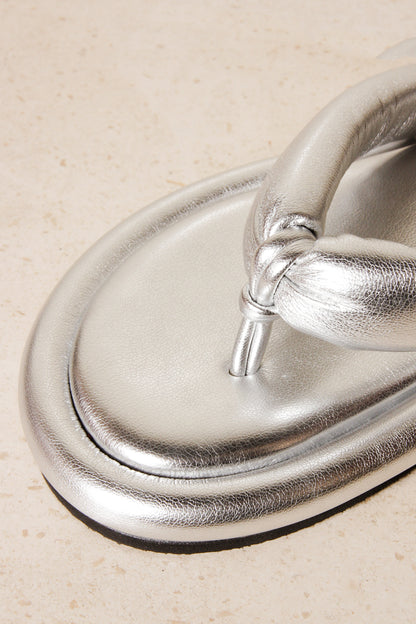 Silver Slipper
