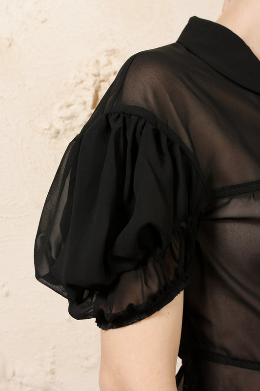 Sheer Puff Sleeve Blouse