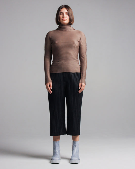 Sand Beige Micropleat Top