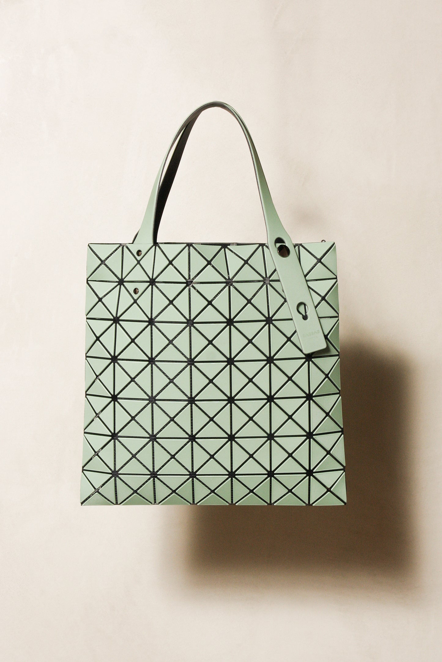Mint Prism Frost Tote