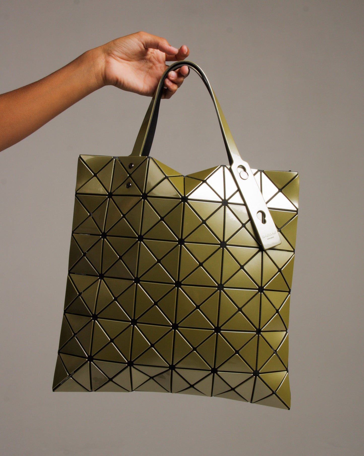 Olive and Taupe Medium Lucent Tote Bag