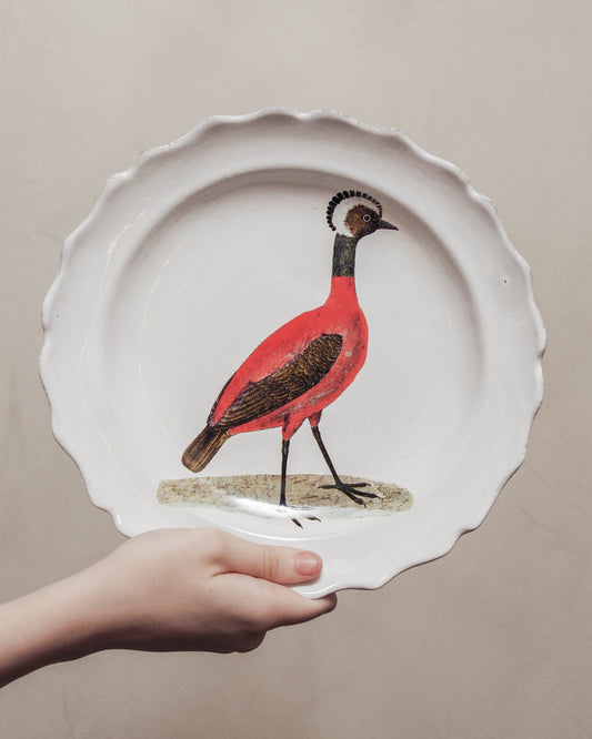 Red Peruvian Hen Soup Plate