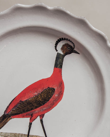 Red Peruvian Hen Soup Plate