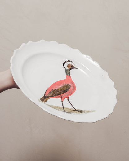 Red Peruvian Hen Soup Plate