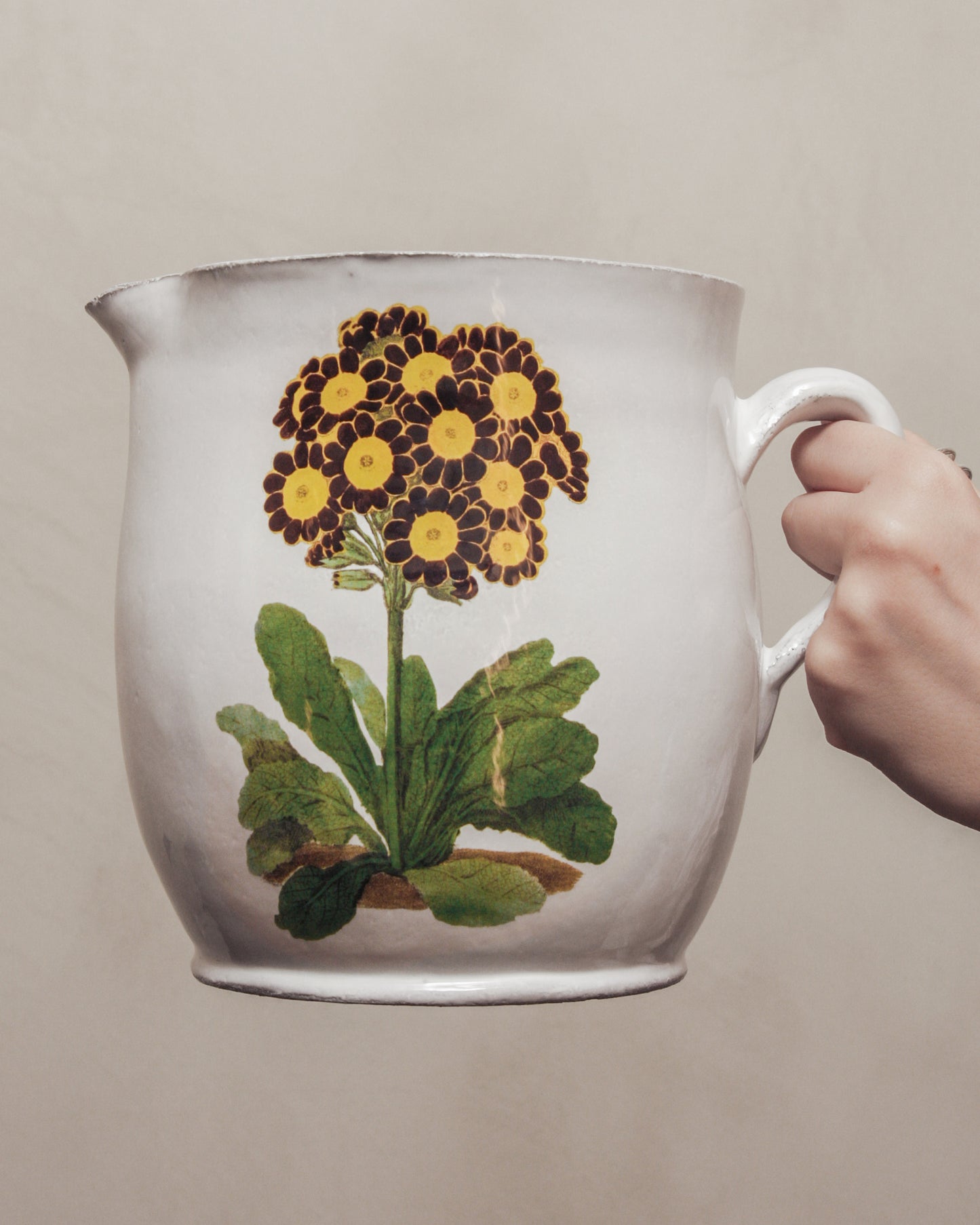 Primrose Pitcher