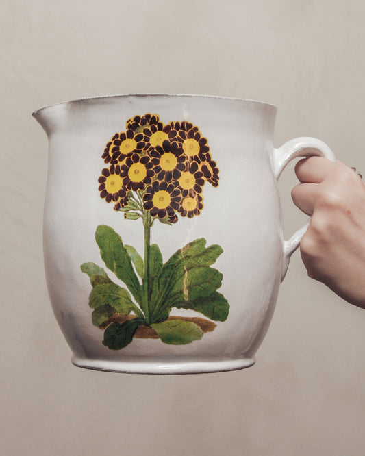 Primrose Pitcher