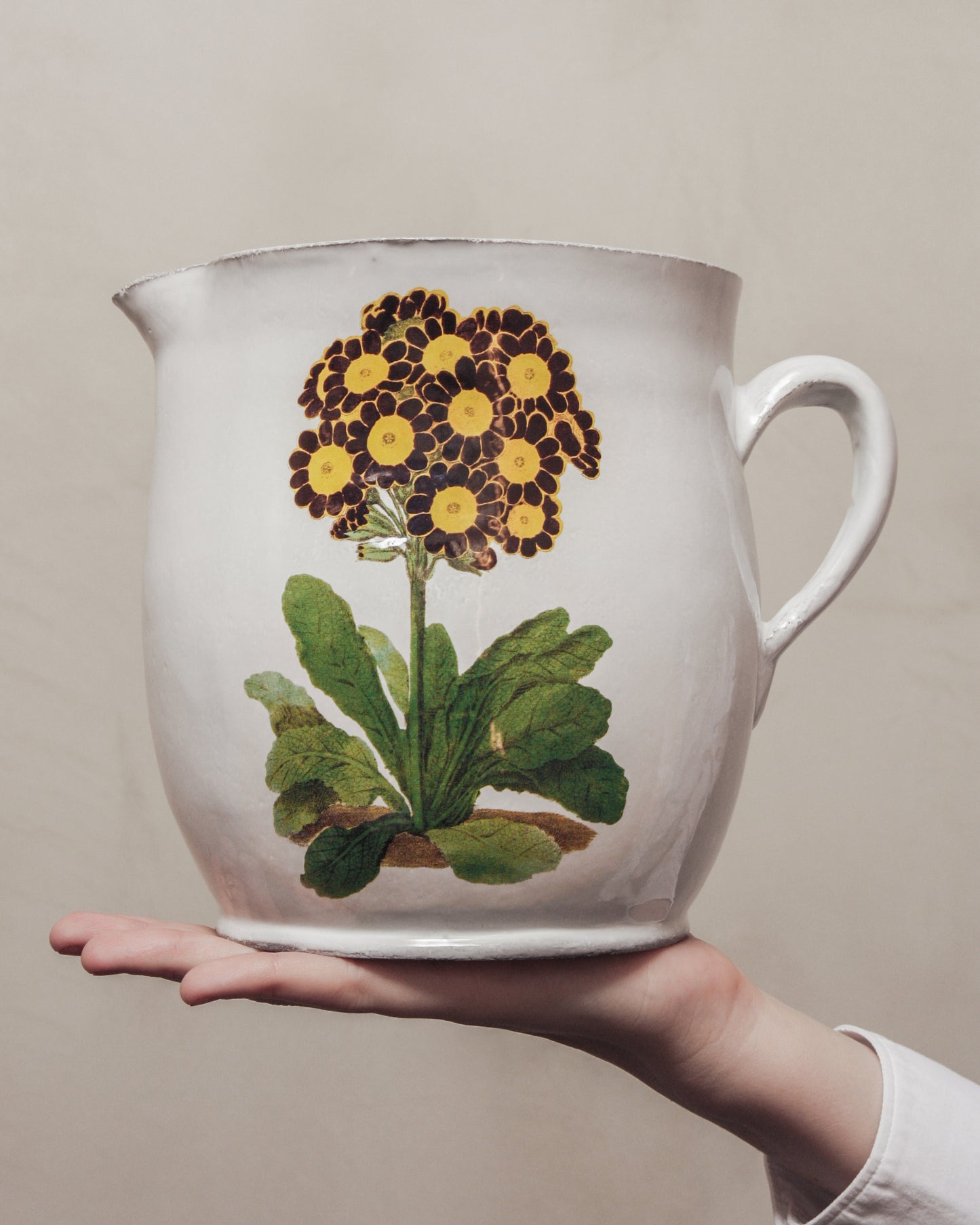 Primrose Pitcher
