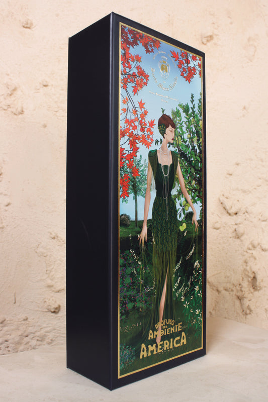 Room Fragrance Diffuser America 250ml