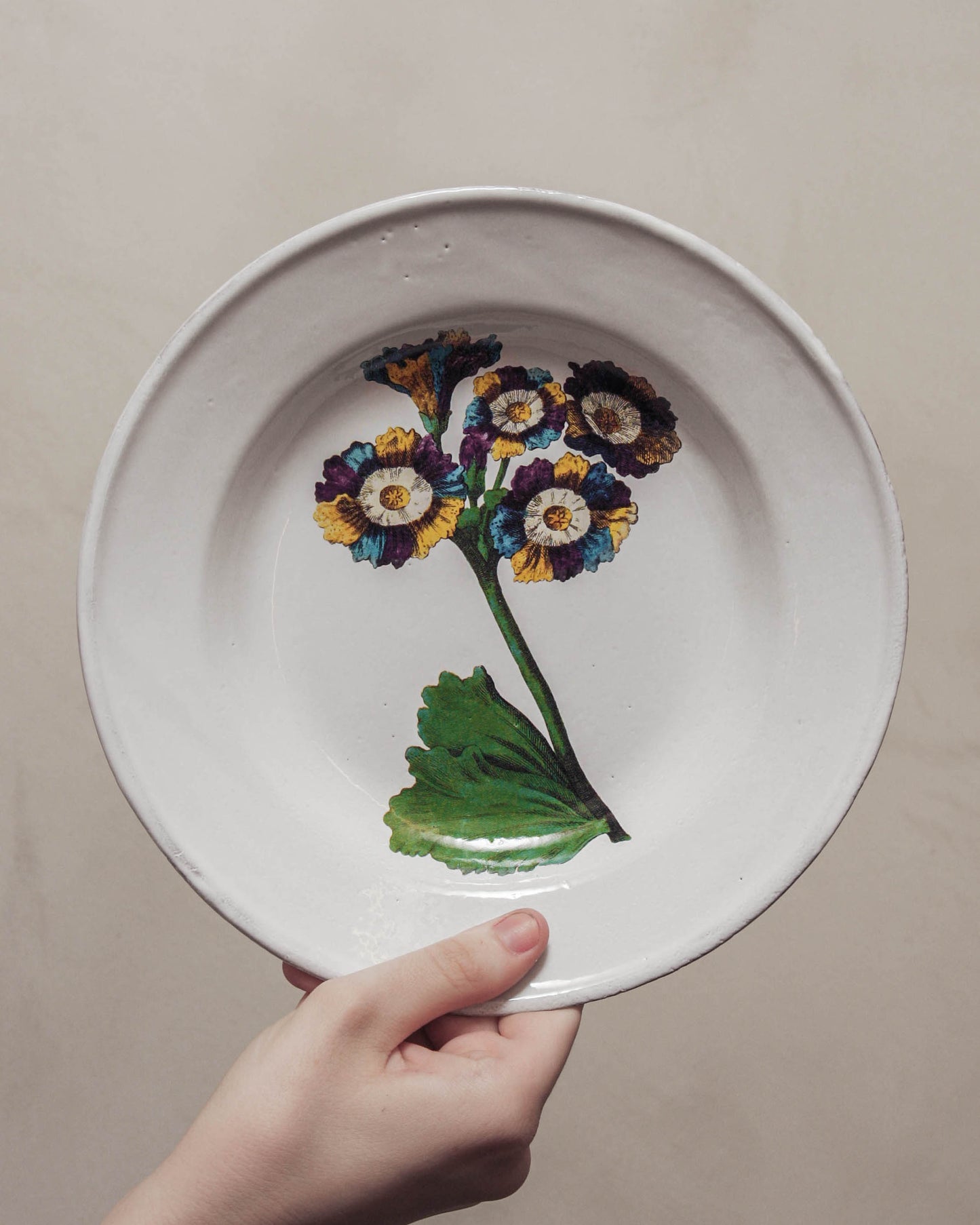 John Derian Lord Willoughbys Auricula Soup Plate
