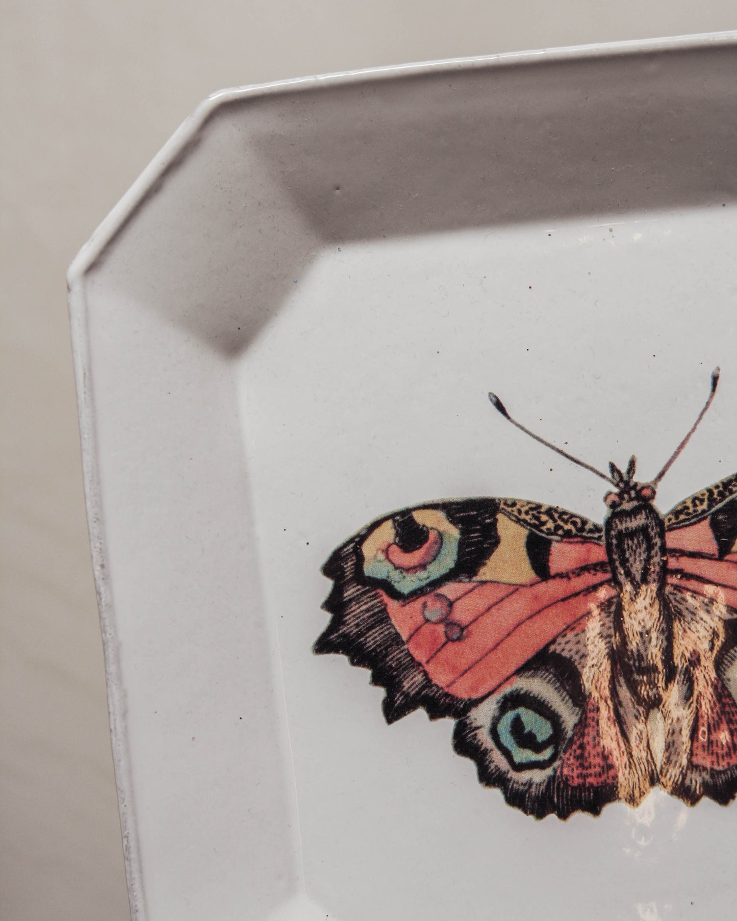 John Derian Square Butterfly Plate