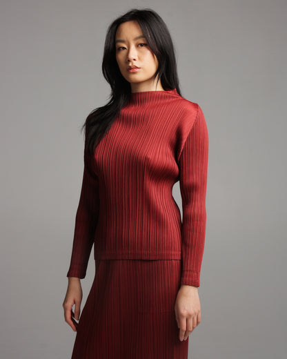 Turtle Neck Bordeaux Top