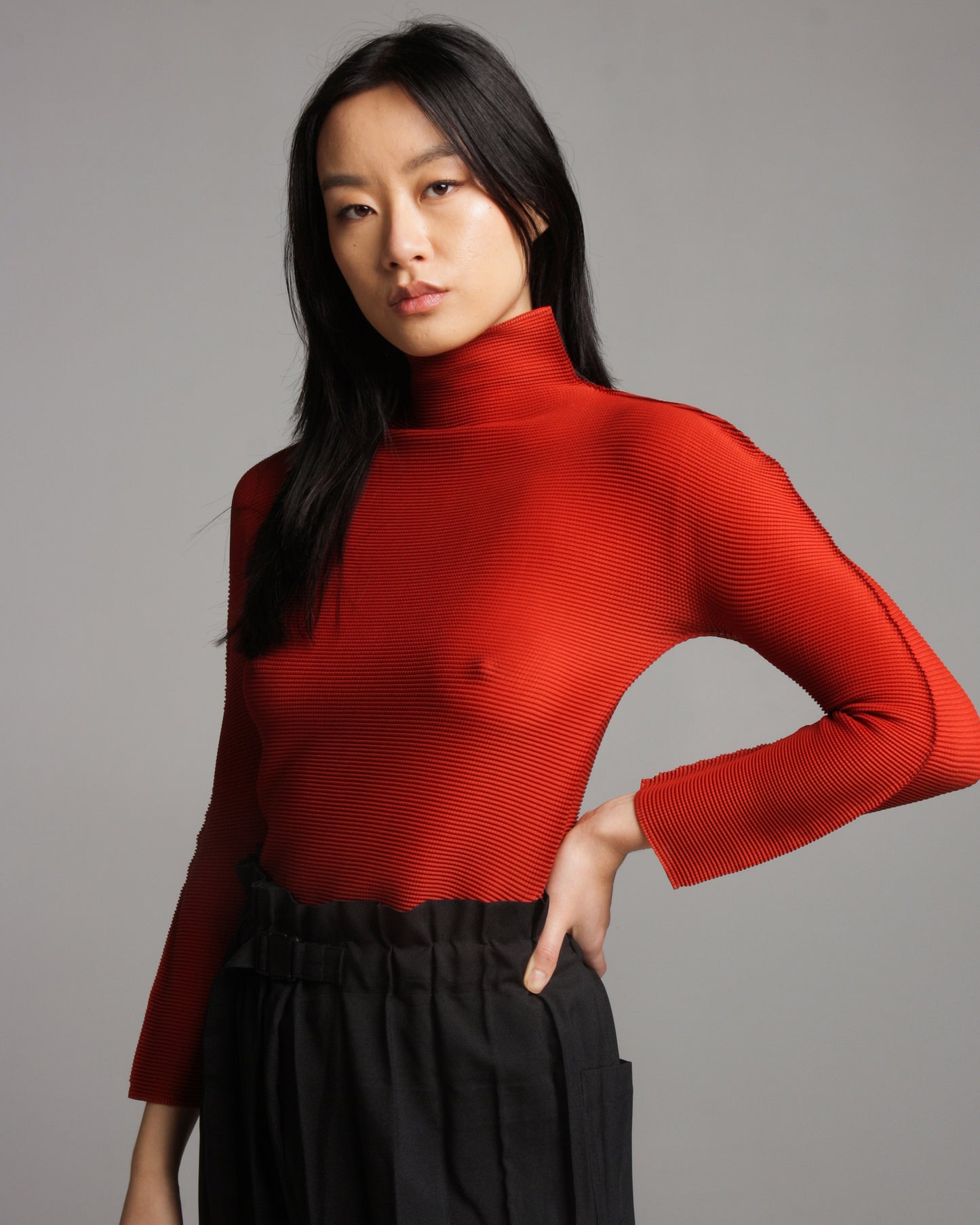 Terracotta Micropleated High Neck Top