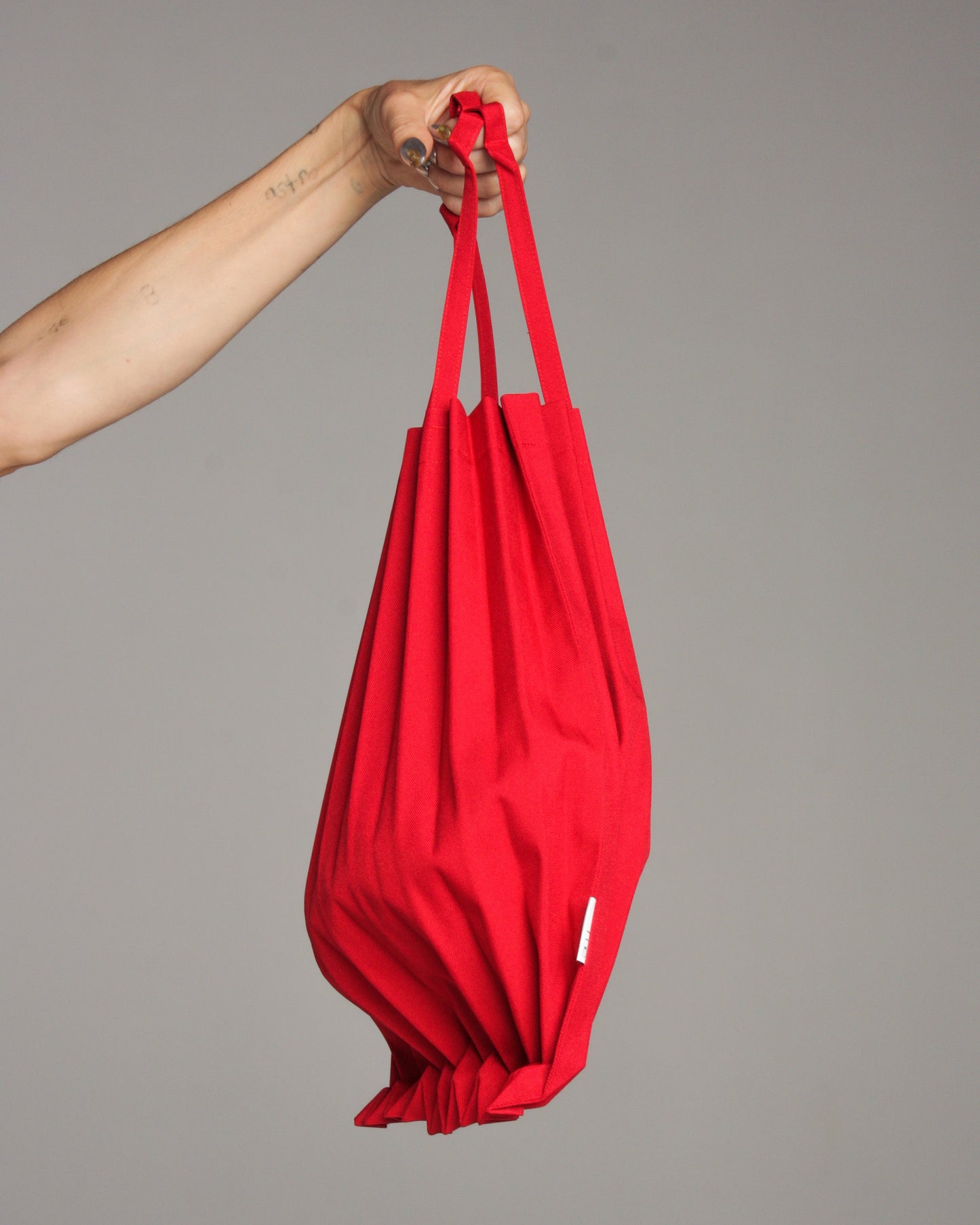 Red Trunk Pleats Bag – Dilettante