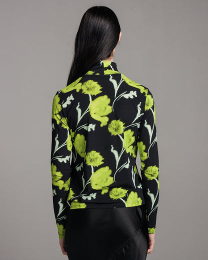 Acid Aster Fields Tella Top