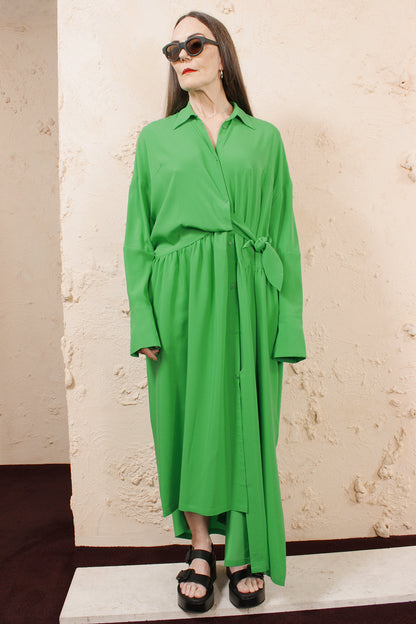 Dani Shirtdress