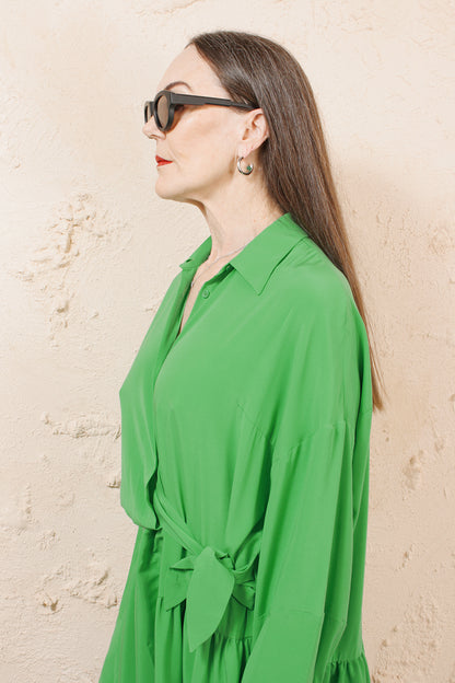 Dani Shirtdress