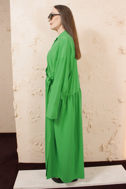 Dani Shirtdress